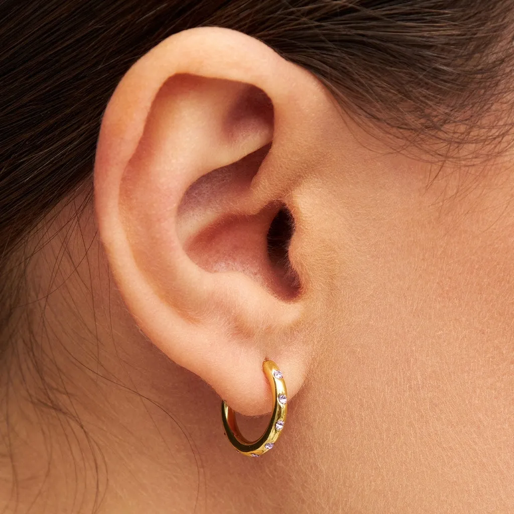 OMG Hoops Small pair gold plated - Violet